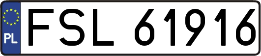FSL61916