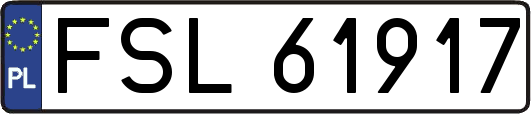 FSL61917
