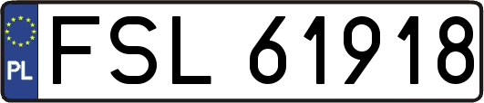 FSL61918