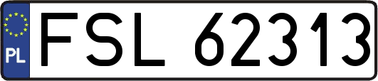 FSL62313