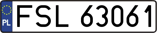 FSL63061
