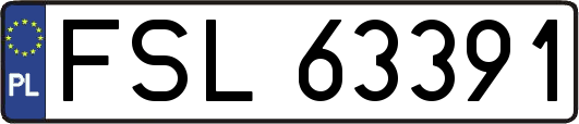 FSL63391