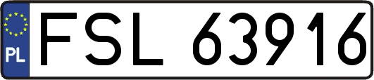 FSL63916