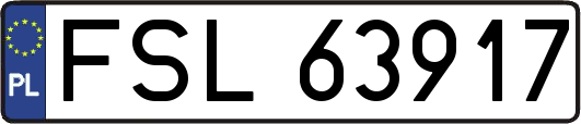 FSL63917
