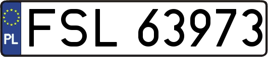 FSL63973