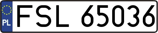 FSL65036