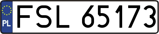 FSL65173