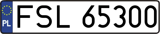 FSL65300