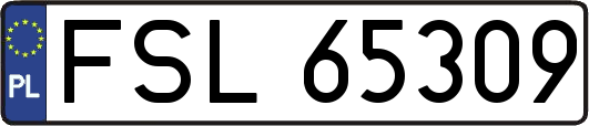 FSL65309