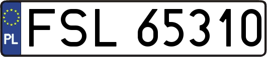 FSL65310