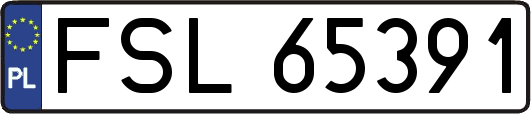 FSL65391