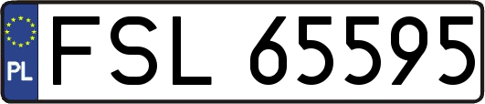 FSL65595
