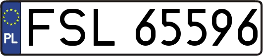 FSL65596