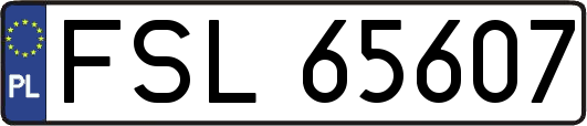 FSL65607