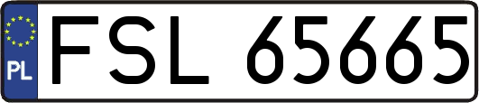FSL65665