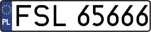 FSL65666