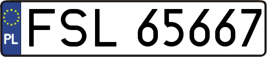 FSL65667