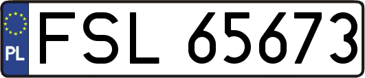 FSL65673