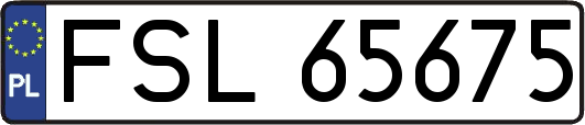 FSL65675