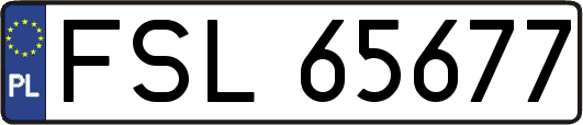 FSL65677