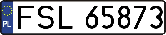 FSL65873