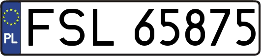 FSL65875