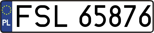 FSL65876