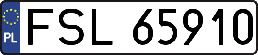 FSL65910