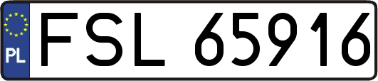 FSL65916