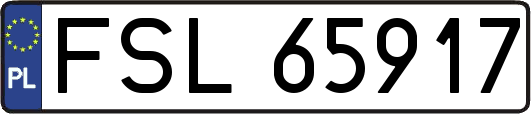 FSL65917