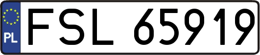 FSL65919