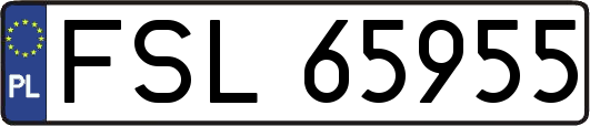 FSL65955