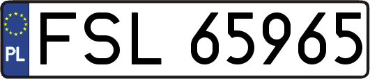 FSL65965