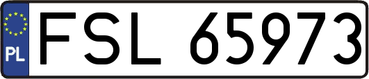 FSL65973