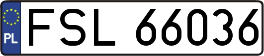 FSL66036