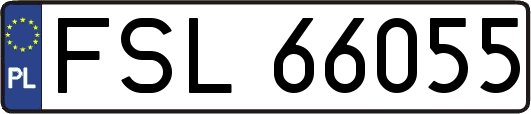 FSL66055