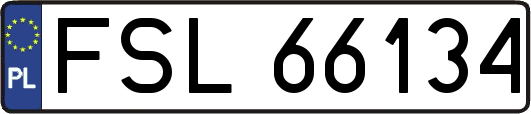 FSL66134