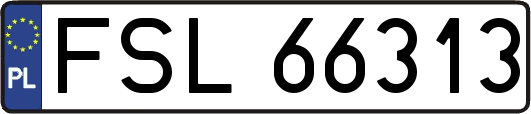 FSL66313