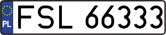 FSL66333