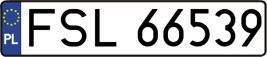 FSL66539