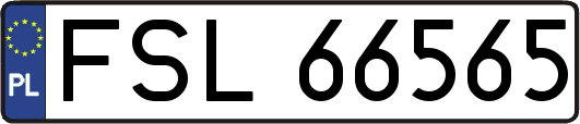 FSL66565