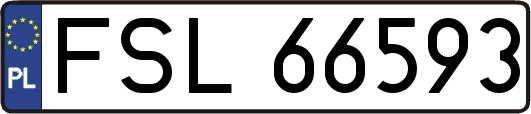 FSL66593