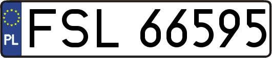FSL66595