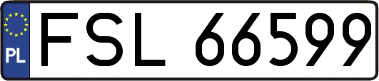 FSL66599