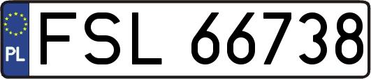FSL66738