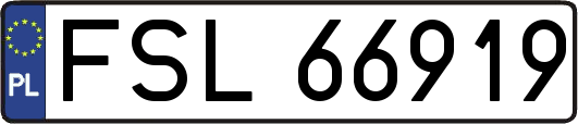 FSL66919