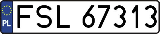 FSL67313