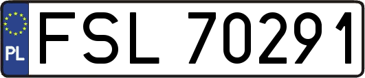 FSL70291