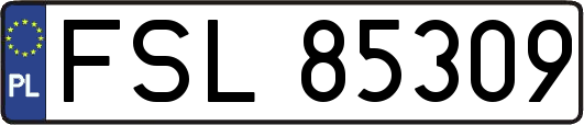 FSL85309