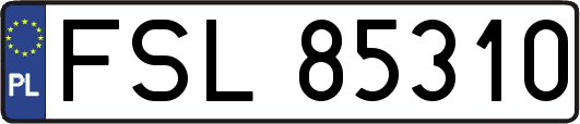 FSL85310